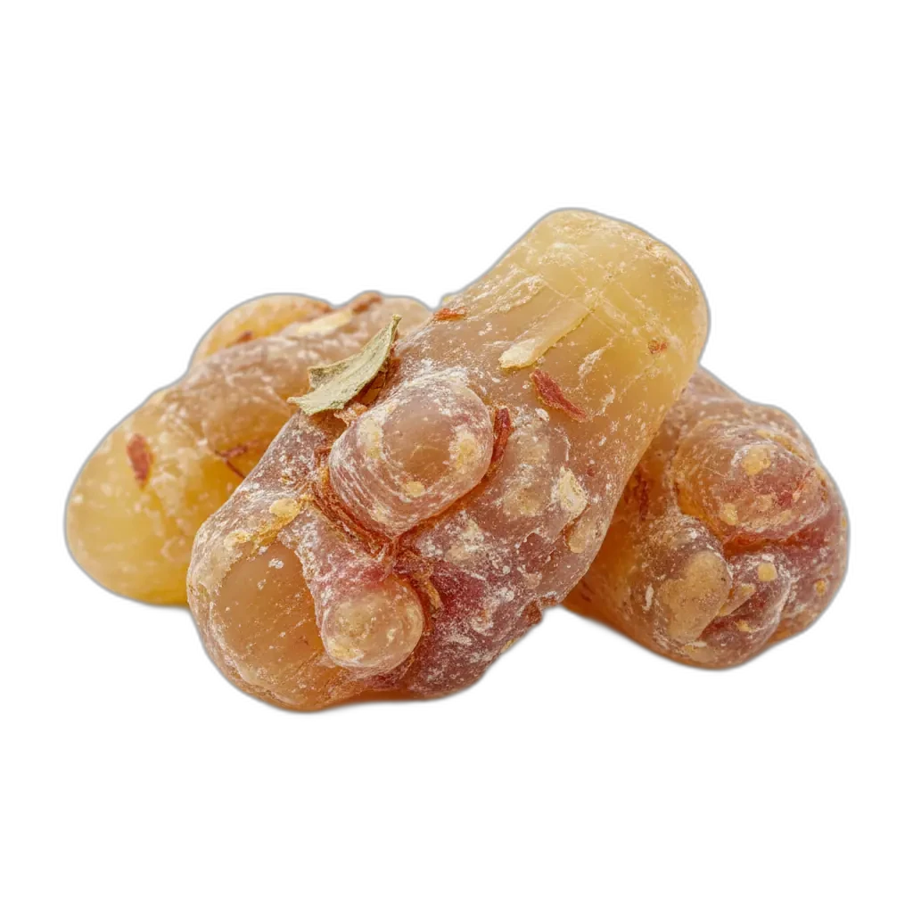 Boswellia serrata - geleneksel Hint bitkisi